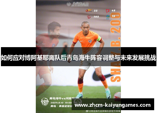 如何应对博阿基耶离队后青岛海牛阵容调整与未来发展挑战