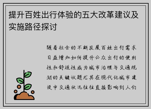 提升百姓出行体验的五大改革建议及实施路径探讨
