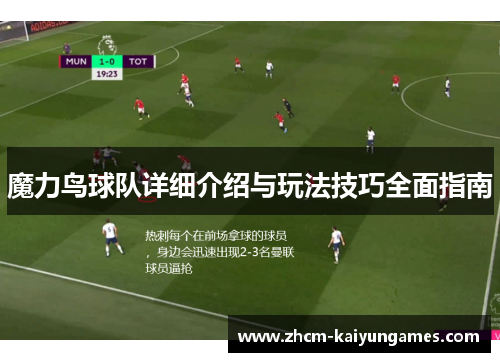 魔力鸟球队详细介绍与玩法技巧全面指南