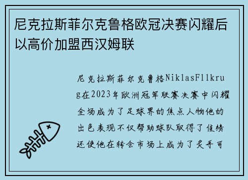 尼克拉斯菲尔克鲁格欧冠决赛闪耀后以高价加盟西汉姆联