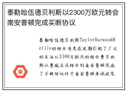 泰勒哈伍德贝利斯以2300万欧元转会南安普顿完成买断协议